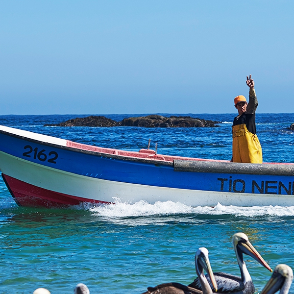 Horcón, Región de Valparaiso