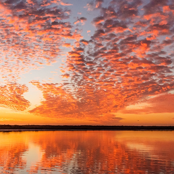 Mataquitos, Valle de Curicó. Región del Maule