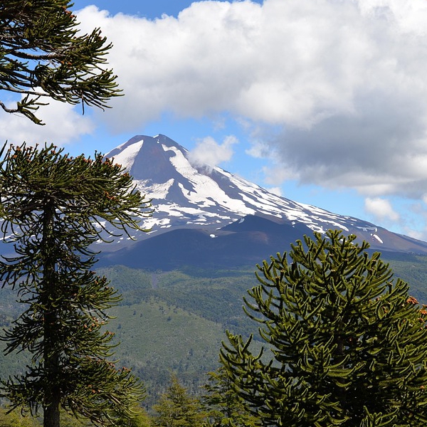 Parque Nacional Conguillio, Región de la Araucanía 