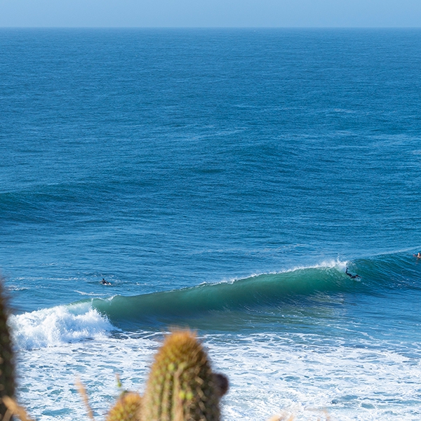 Punta de Lobos. Rgión de O'Higgins
