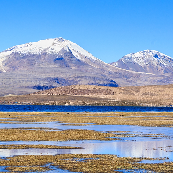 Región de Arica y Parinacota Lago Chungará